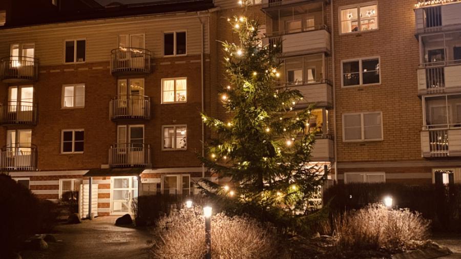 Den traditionella julgranen på innergården